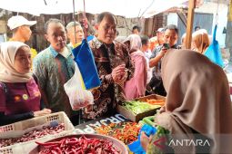 Anggota DPR dorong masyarakat belanja di pasar tradisional