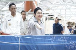 DPR salurkan bantuan sarana budidaya ikan dan alsintan bagi Bantul