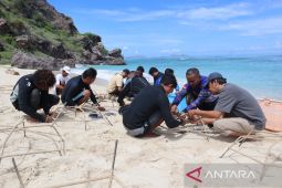 Pelaku wisata merusak terumbu karang di Labuan Bajo-NTT jalankan sanksi