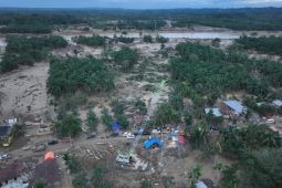 PLN berhasil hubungkan kelistrikan Aceh ke 'backbone' Sumatera