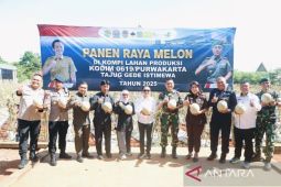 Purwakarta panen melon