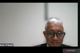 Kemendes: Penting pemanfaatan pekarangan untuk hasilkan pangan bergizi bagi keluarga