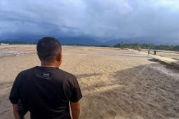 Warga berharap pemerintah pulihkan sawah terdampak bencana di Aceh