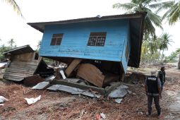 BNPB percepat pembangunan hunian sementara di daerah bencana