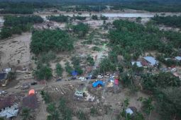 PLN masuki tahap pengoperasian sistem kelistrikan Aceh yang sempat terisolasi