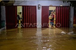 Antisipasi wabah, Kemenkes terbitkan SE siaga Leptospirosis