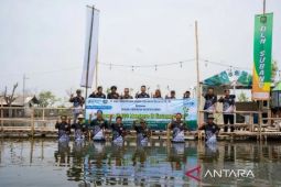 Jaga ekosistem pesisir, Bank bjb tanam 10.000 mangrove di Subang