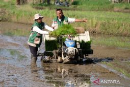 BRIN soroti adaptasi teknologi pertanian untuk hadapi perubahan iklim