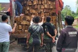 Hutan yang menyusut, bencana mendekat