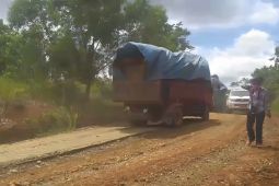 Koalisi desak BKSDA hentikan MoU demi selamatkan gajah di Bengkulu