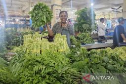 DPR Papua libatkan Bank Indonesia susun Raperdasi cadangan pangan