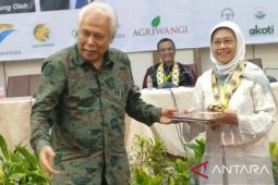 Dewan Teh Indonesia (DTI) siap tingkatkan nilai ekonomi kebun teh rakyat