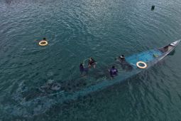 Authorities name suspects in illegal hunting in Komodo National Park