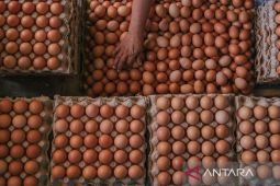 PIHPS: Harga cabai rawit merah Rp74.800/kg, telur ayam Rp33.000/kg