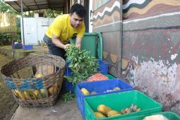 Pemkot memastikan Kemenhut mulai salurkan pakan satwa untuk Bandung Zoo