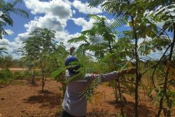 ANB luncurkan BioRehab, solusi kilat reklamasi pascatambang untuk jawab regulasi ESDM 2025