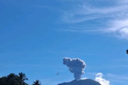 Gunung Ibu erupsi lontarkan abu setinggi hingga 600 meter