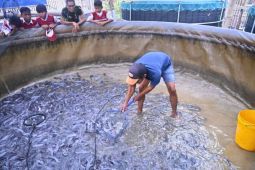 BNPT dorong kesiapsiagaan nasional lewat Bioflok Desa Siapsiaga