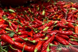 Harga pangan nasional melemah, cabai rawit dan bawang merah turun signifikan