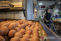 Ketersediaan telur ayam jelang Natal dan Tahun Baru