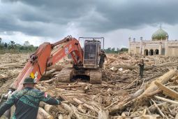 Wamenhut pastikan upaya kolaborasi percepatan pembersihan kayu terseret banjir Sumatera