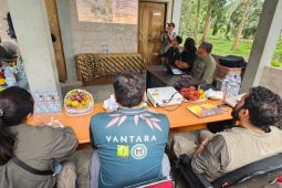 Kemenhut bekerjasama dengan Vantara India cegah kematian gajah akibat EEHV