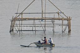 Ketika darat dan  laut bertaut