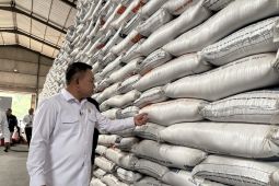 Cek stok beras, Penasihat presiden tinjau Gudang Bulog DKI Banten