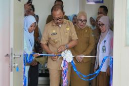 Gubernur Sulbar luncurkan pelayanan rujukan stunting terpadu di RSUD Mamuju