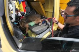 Tes urine dan penggeledahan truk di Pelabuhan Tanjung Perak