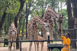 Ratusan petugas gabungan amankan Taman Margasatwa Ragunan pada Nataru