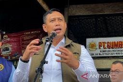 Dirut Bulog minta Satgas tindak tegas Minyakita dan telur di atas HET