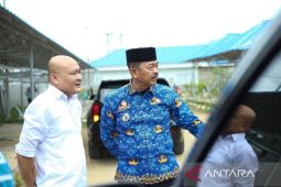 Pasokan LPG 3 Kg aman, harga Sembako stabil jelang Nataru di Madina