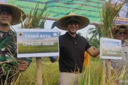 Pemkab Cianjur menghentikan sementara izin perumahan dan industri