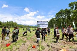 Wabup Banyuwangi: Reforestasi hutan penting jaga keberlanjutan ekologi