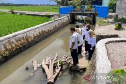 Ikan Restocking di aliran sungai Pariaman hanyut akibat banjir
