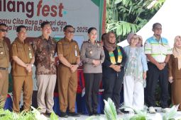 Marasa Bailang Fest 2025 wujud kolaborasi dunia usaha dan pemerintah