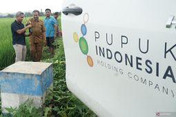 Membaca tanah, merawat masa depan sawah