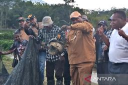 Pemkab Jayawijaya mendorong pengembangan budi daya ikan air tawar pada 2026