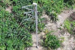 PLN operasikan jalur kedua kabel transmisi Arun-Bireuen