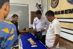 Petugas Lapas Ketapang gagalkan penyelundupan sabu