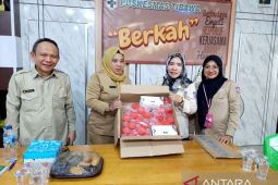 Pemprov Gorontalo pastikan kesehatan pengemudi angkutan