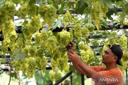 Hidangan yang dianggap membawa keberuntungan saat tahun baru