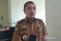 Pemkab Rejang Lebong kampanyekan gerakan penanaman pohon
