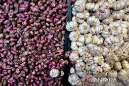 Harga cabai rawit Rp59.923/kg, bawang merah Rp43.928/kg
