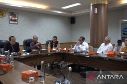 Gubernur Bali sebut jumlah wisdom turun karena kurangnya maskapai