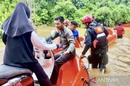 Pemerintah minta fokus bentuk posko logistik layani korban banjir