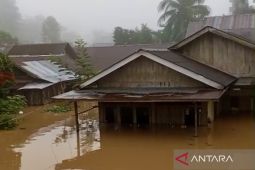 Dua areal DAS berstatus bahaya dan satu siaga banjir di Banjar Kalimantan Selatan