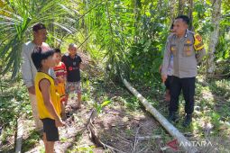 Seorang anak tewas terjatuh dari pohon pinang di Mukomuko