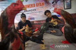 Pelatihan pembuatan boneka ayam
